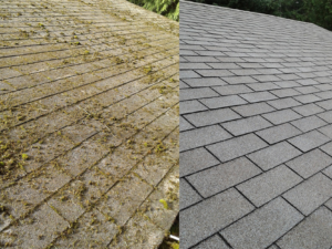 commercial roof needs cleaning