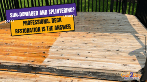 professional deck restoration