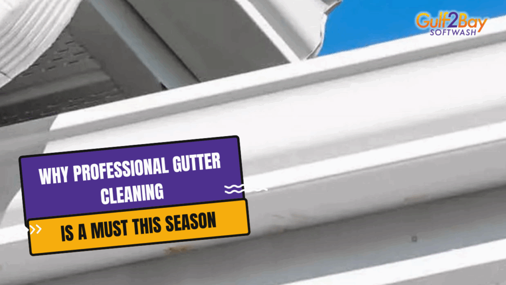 professional gutter cleaning