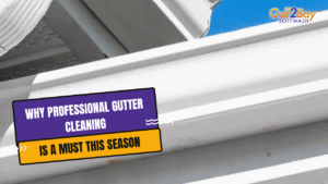 professional gutter cleaning