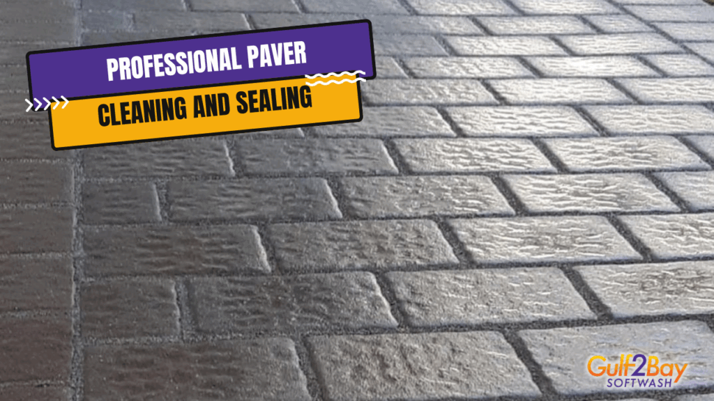 professional paver cleaning and sealing services gulf2bay