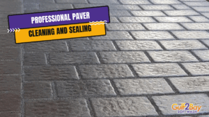 professional paver cleaning and sealing services gulf2bay
