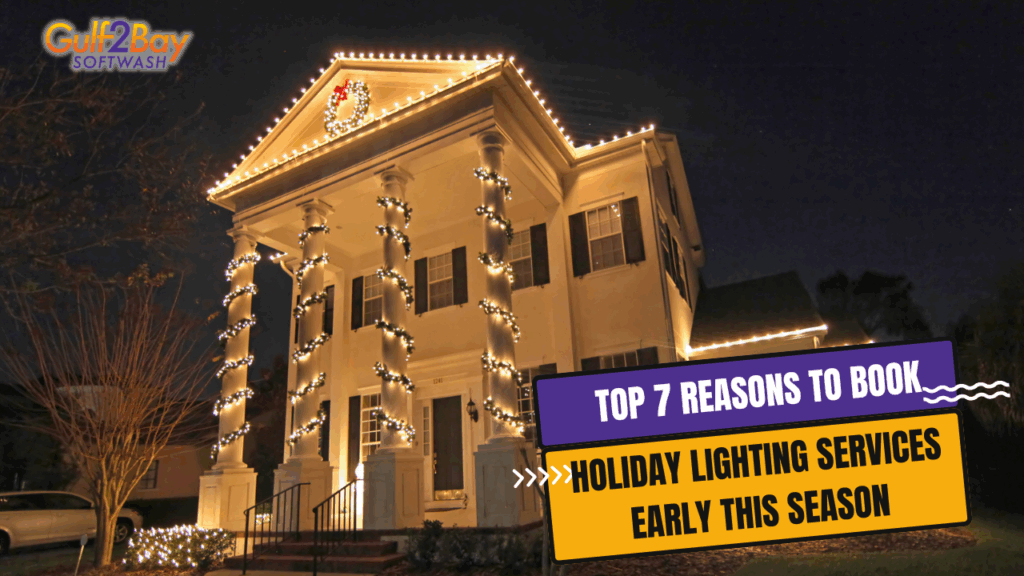 holiday lighting services
