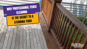 professional fence cleaning