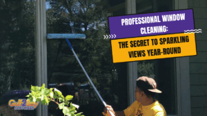 professional window cleaning