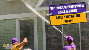 professional house washing