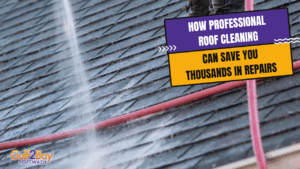 professional roof cleaning
