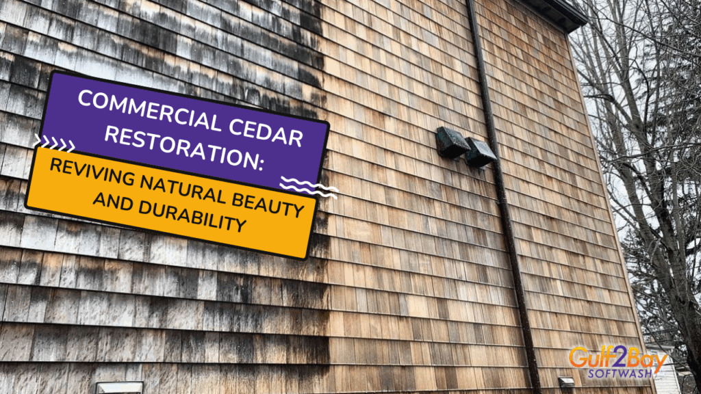 commercial cedar restoration