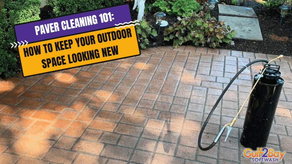 Paver Cleaning 101