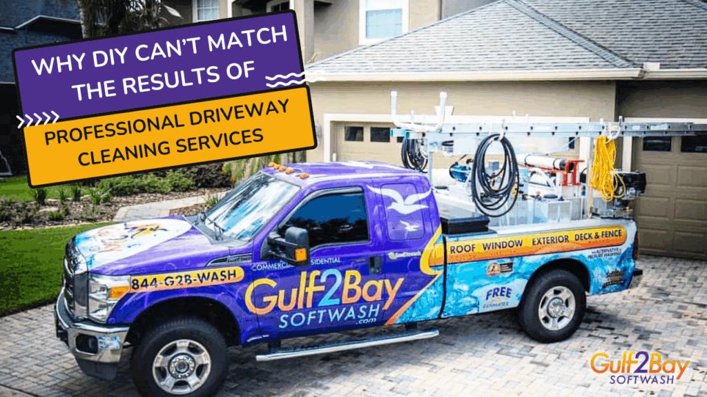 professional driveway cleaning
