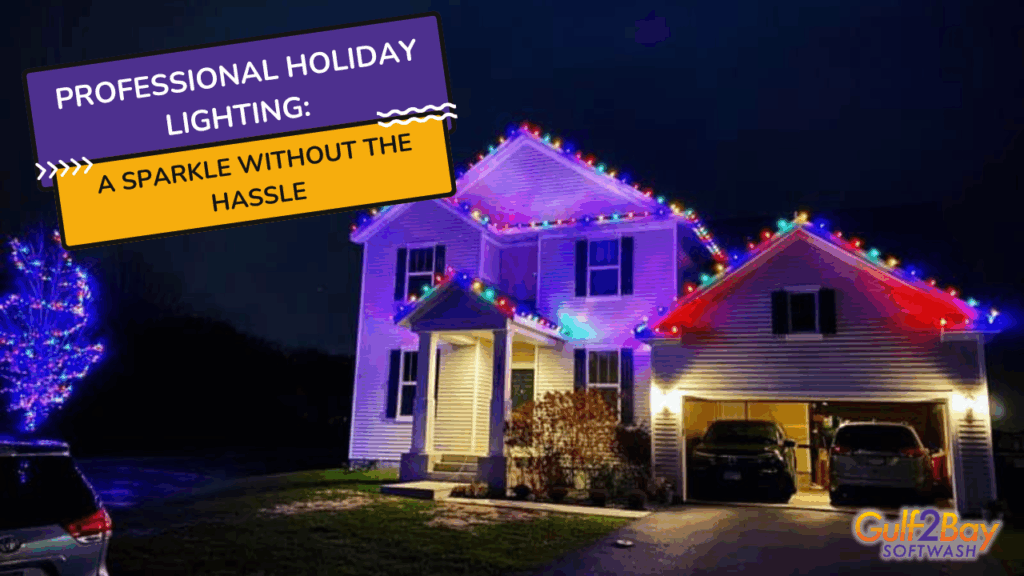 professional holiday lighting