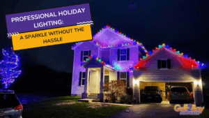 professional holiday lighting