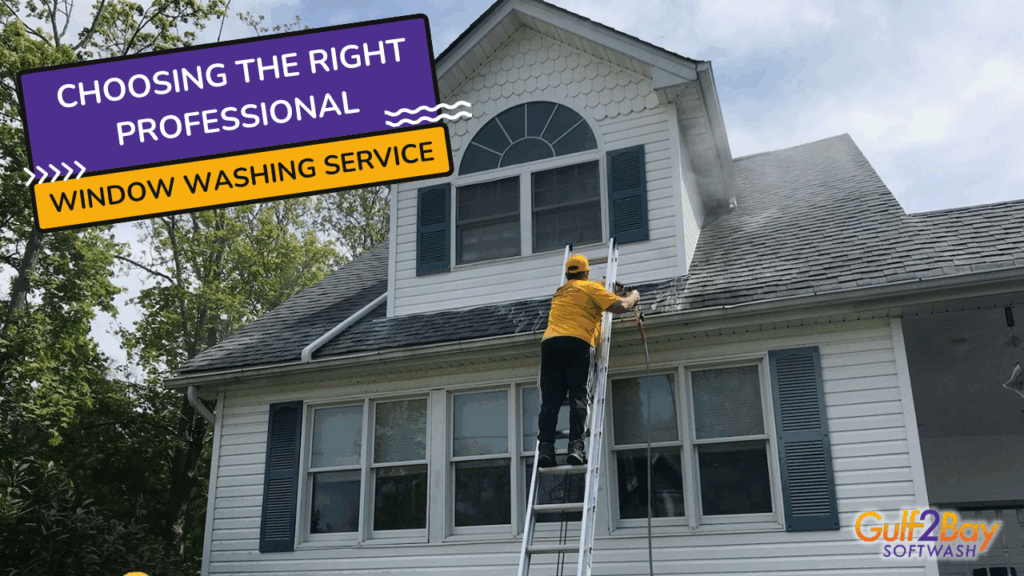 window washing service