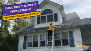window washing service