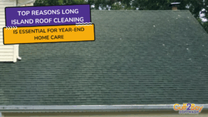 long island roof cleaning