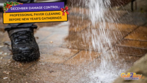 professional paver cleaning