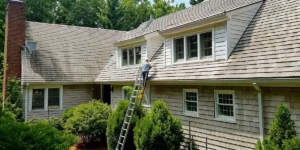 Black streaks on roof before safe professional soft washing