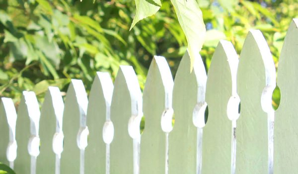 fence cleaning