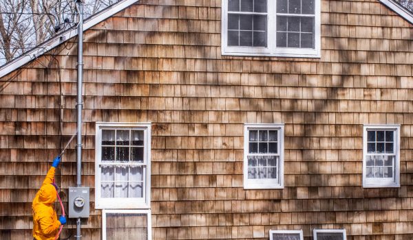 commercial cedar restoration
