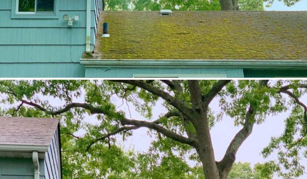roof cleaning