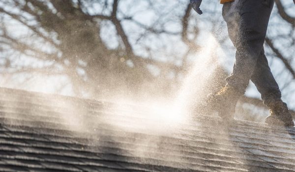 roof cleaning