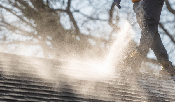 roof washing