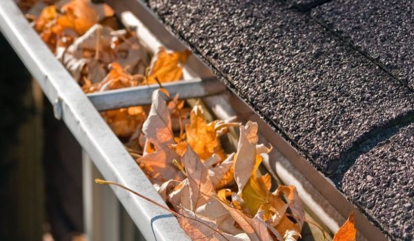 gutter cleaning