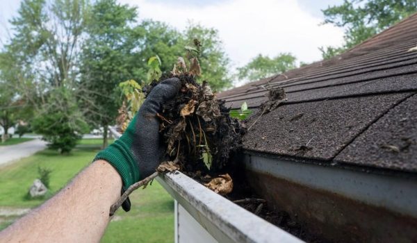 gutter cleaning in Long Island
